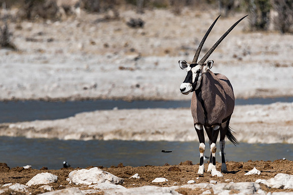 Namibia_060816_0117