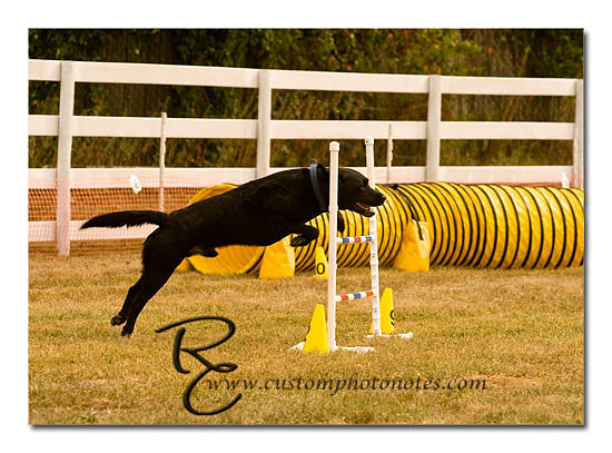 _RMC1461 copy