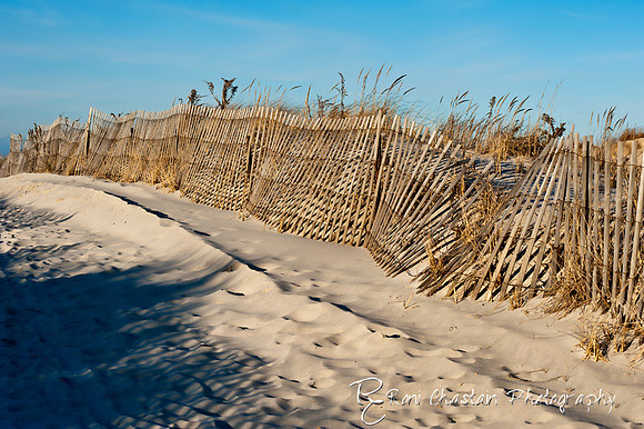 NickersonBeach_Jan292012_0019