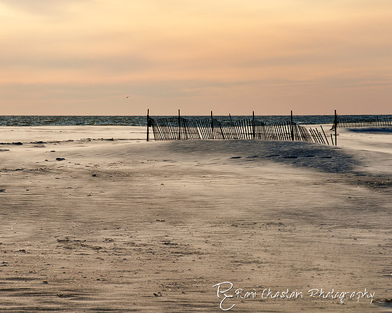 NickersonBeach_Jan292012_0049