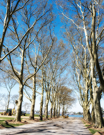 HART Island_0045