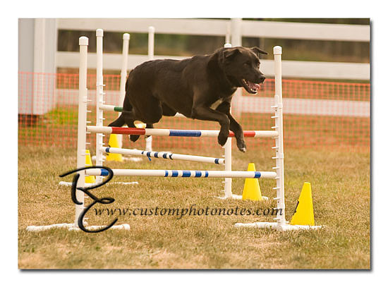 _RMC1580 copy