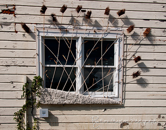 Ft-Tilden_Sep162011_0028
