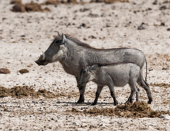 Namibia_060616_0613