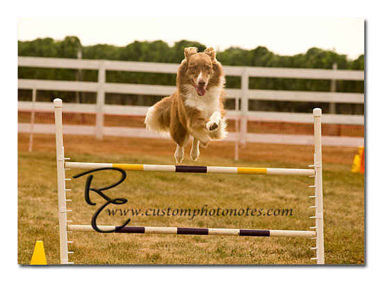 _RMC1486 copy