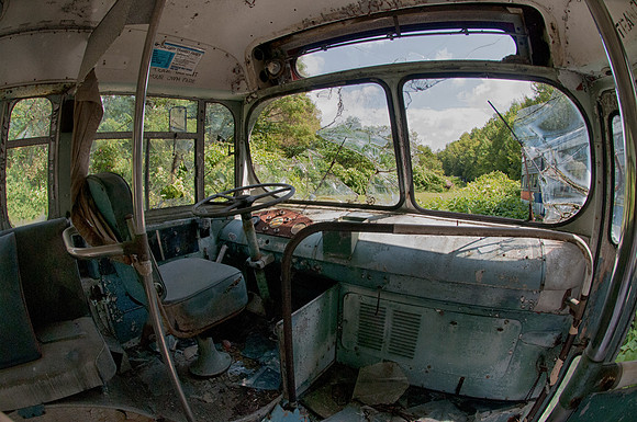 TrolleyGraveyardPAfish_Aug172014_0038