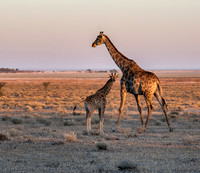 Namibia_061316_3501