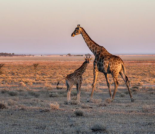 Namibia_061316_3501