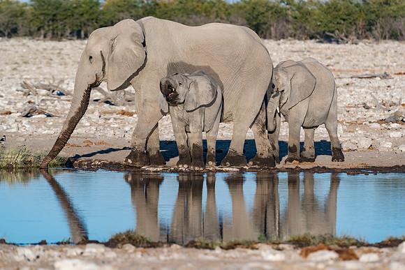 Namibia_061016_1446