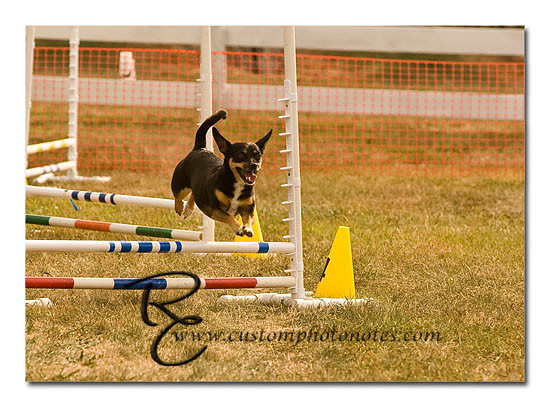 _RMC1534 copy