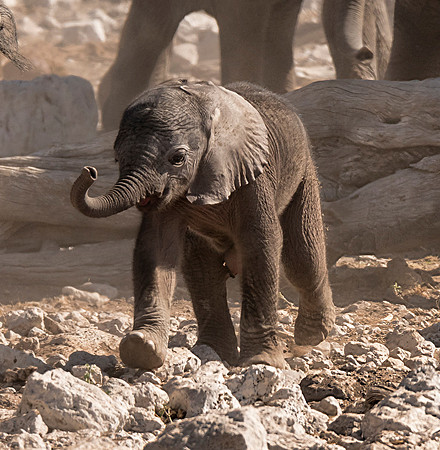 Namibia_061616_4248