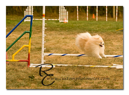 _RMC1624 copy