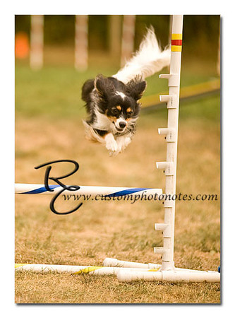 _RMC1674 copy