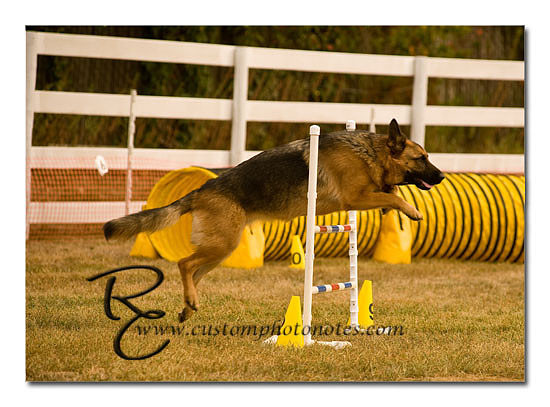 _RMC1588 copy
