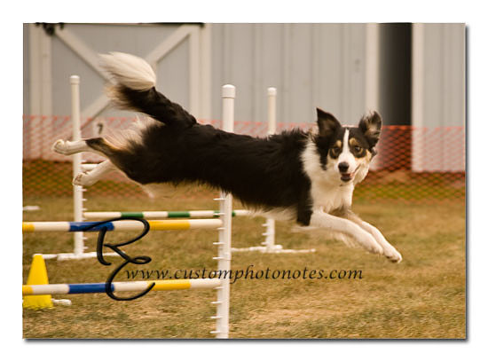 _RMC1592 copy