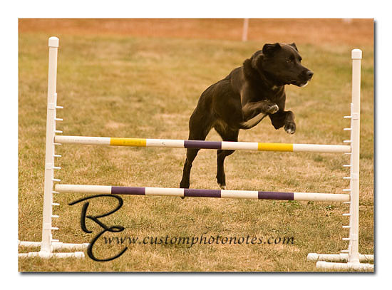 _RMC1610 copy