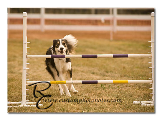 _RMC1576 copy