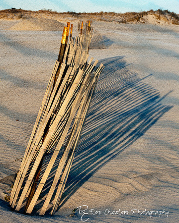 NickersonBeach_Jan292012_0034