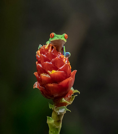 CostaRica_101918_0116