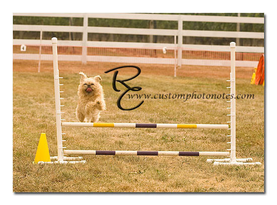 _RMC1411 copy