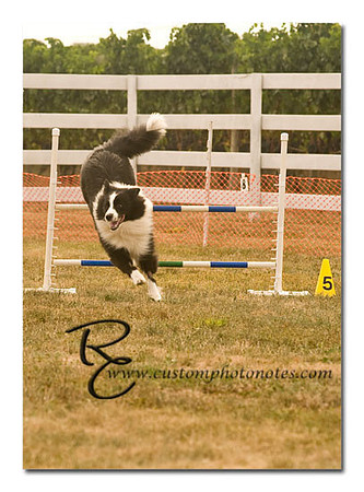 _RMC1477 copy