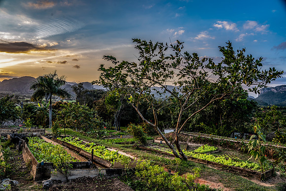 CUBA_010620_2300