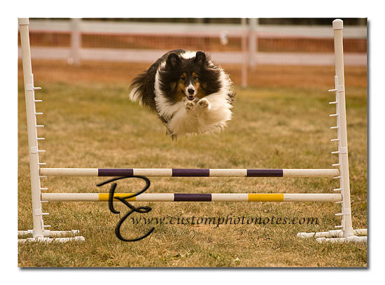 _RMC1550 copy