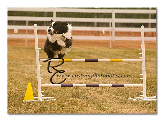 _RMC1479 copy