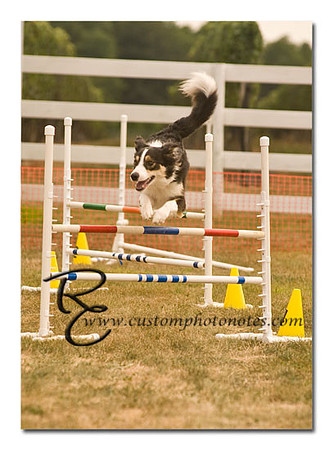 _RMC1596 copy