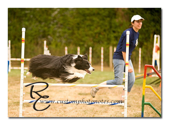 _RMC1723 copy