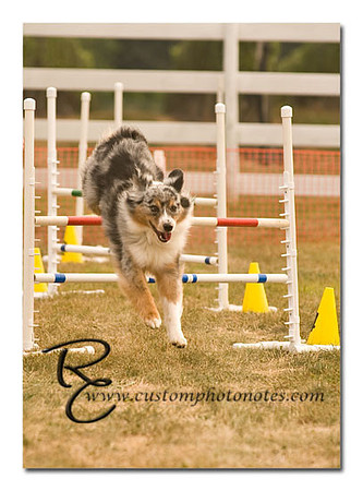 _RMC1590 copy