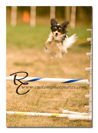 _RMC1673 copy
