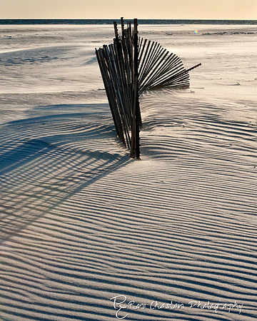 NickersonBeach_Jan292012_0029