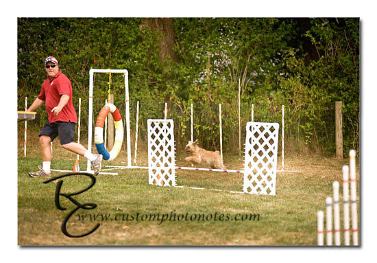 _RMC1799 copy