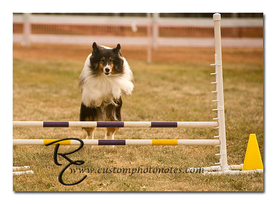 _RMC1549 copy