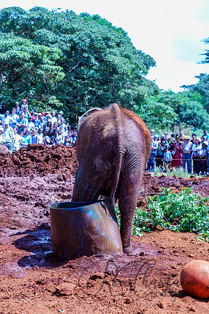Kenya_Jul212019_3473