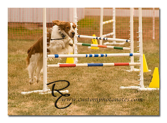 _RMC1601 copy