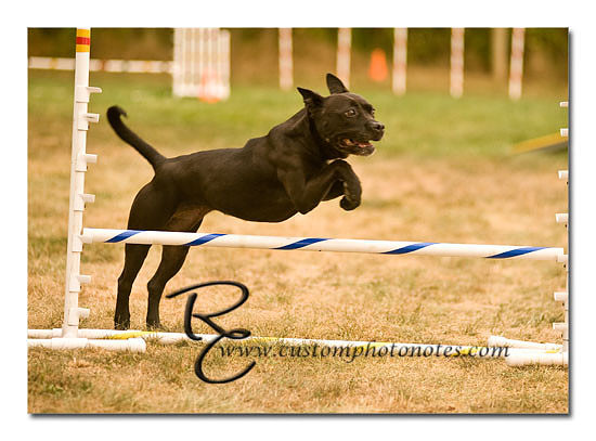_RMC1684 copy