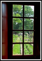 SleepyHallow_070611_6418