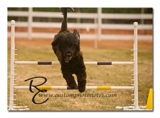 _RMC1586 copy