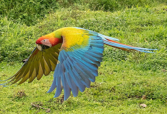 CostaRica_102118_0853