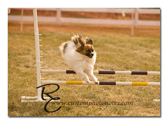 _RMC1545 copy