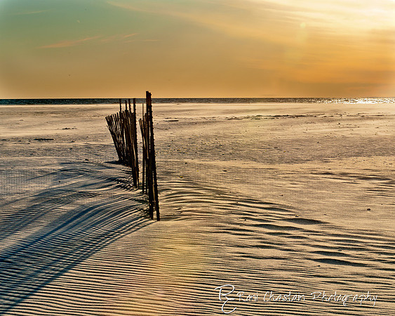 NickersonBeach_Jan292012_0046