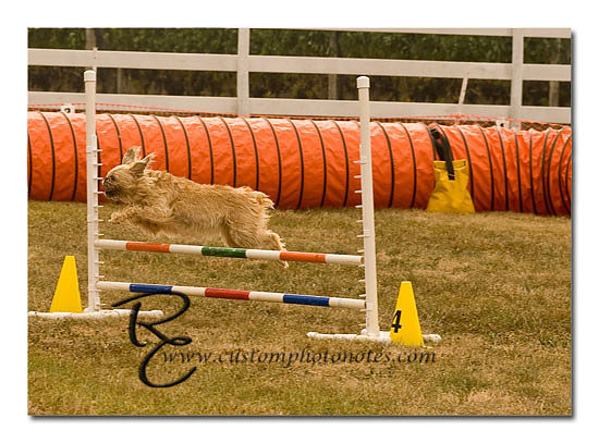 _RMC1410 copy