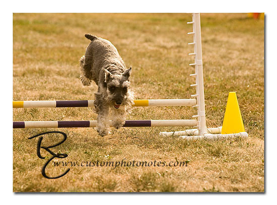 _RMC1531 copy