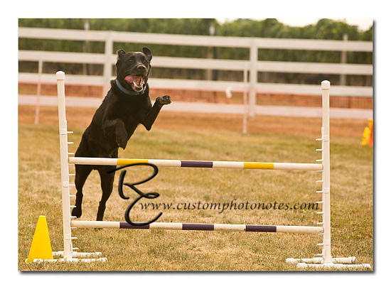 _RMC1465 copy