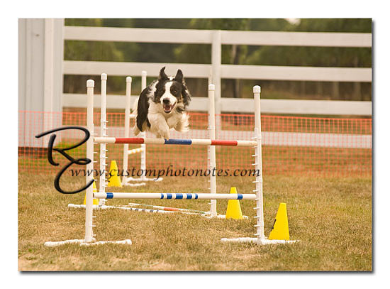 _RMC1598 copy