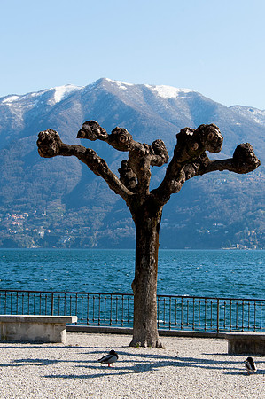 LakeComo_Mar062014_0337