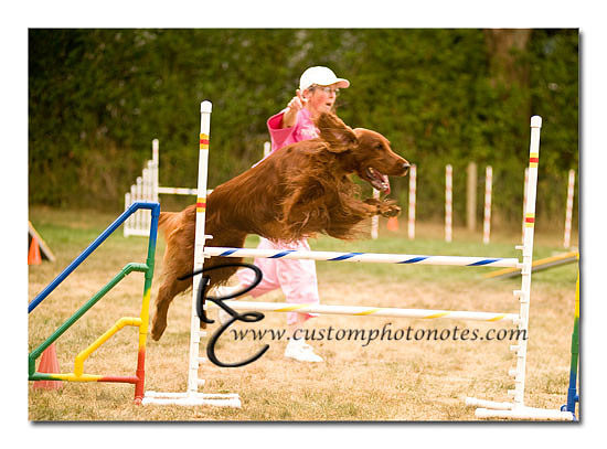 _RMC1798 copy