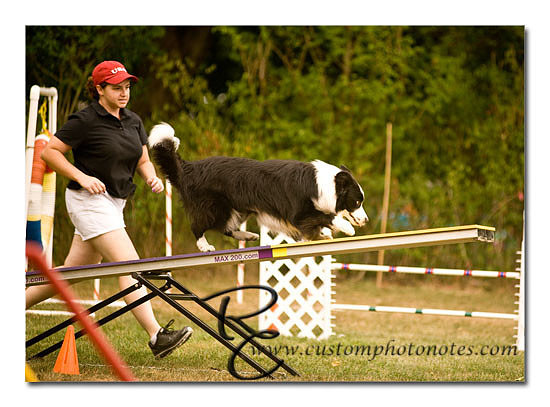 _RMC1786 copy